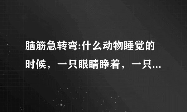 脑筋急转弯:什么动物睡觉的时候，一只眼睛睁着，一只眼睛闭着。？