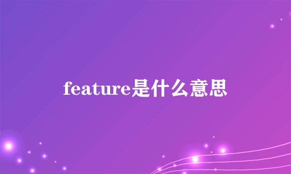 feature是什么意思
