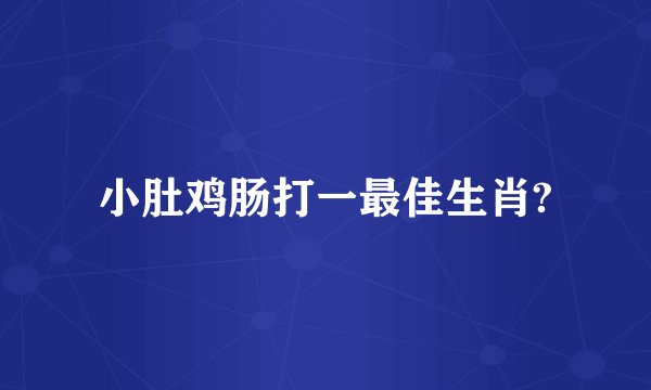 小肚鸡肠打一最佳生肖?