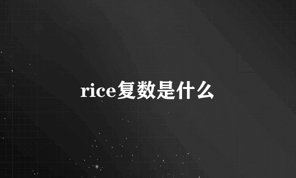 rice复数是什么