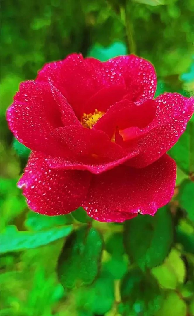 我该怎么办？我该怎么做？