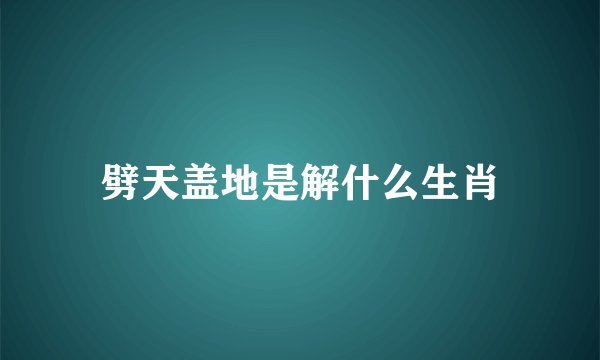 劈天盖地是解什么生肖