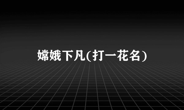 嫦娥下凡(打一花名)