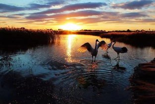 吉林向海为什么古代时叫做“香海”？其中有何典故？