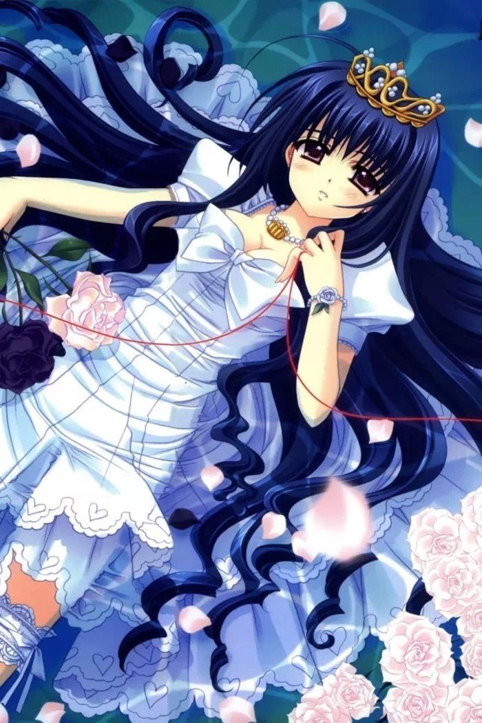 西又葵的生平简历