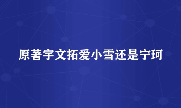 原著宇文拓爱小雪还是宁珂