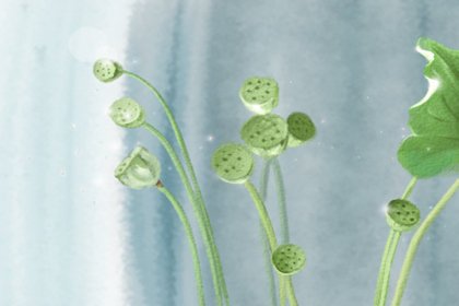 出生日期看三世因果 测测你前世爱的人是谁