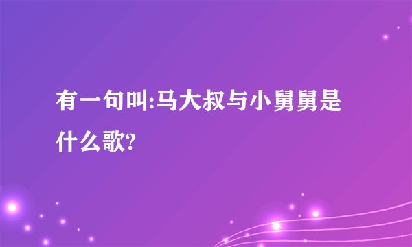 有一句叫:马大叔与小舅舅是什么歌?