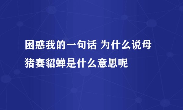 困惑我的一句话 为什么说母猪赛貂蝉是什么意思呢