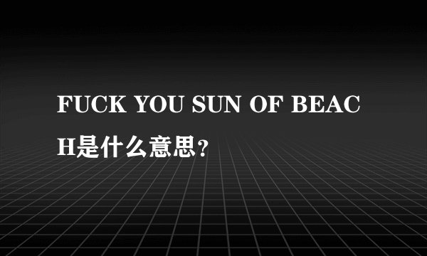 FUCK YOU SUN OF BEACH是什么意思？