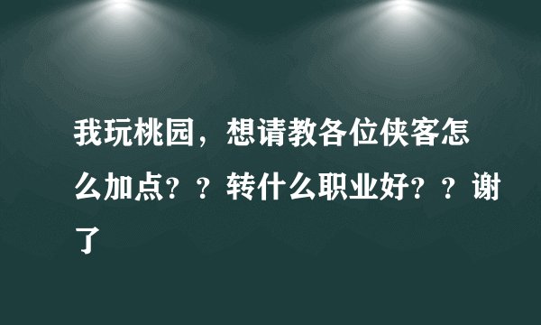 我玩桃园，想请教各位侠客怎么加点？？转什么职业好？？谢了