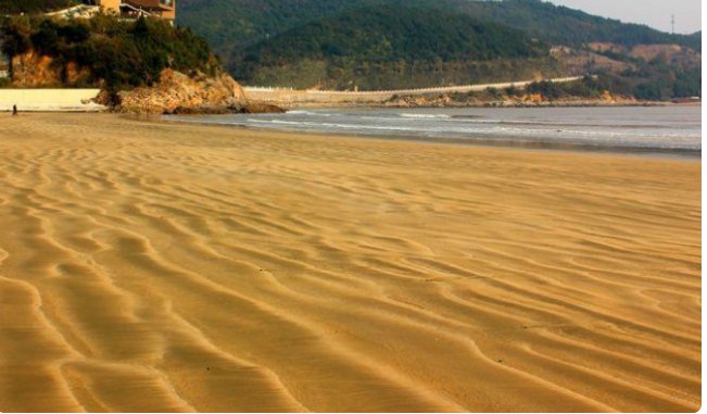 金色的沙滩上又什么又什么?