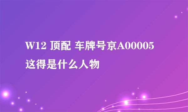 W12 顶配 车牌号京A00005 这得是什么人物