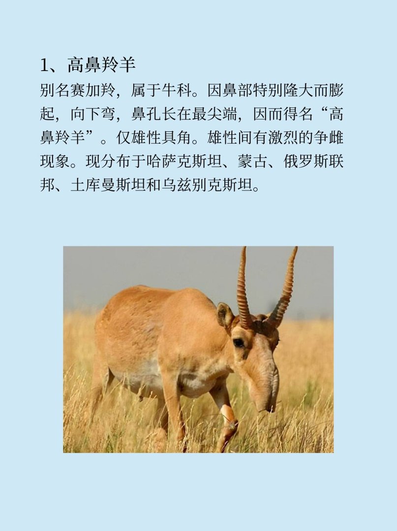 有什么稀奇古怪的东西