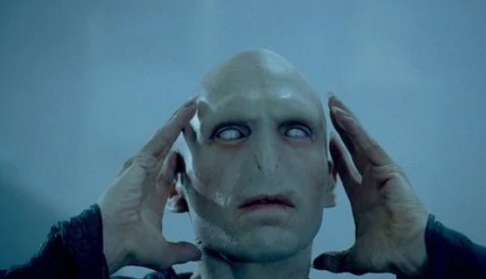 伏地魔最后是被谁杀死的？（越详细越好）