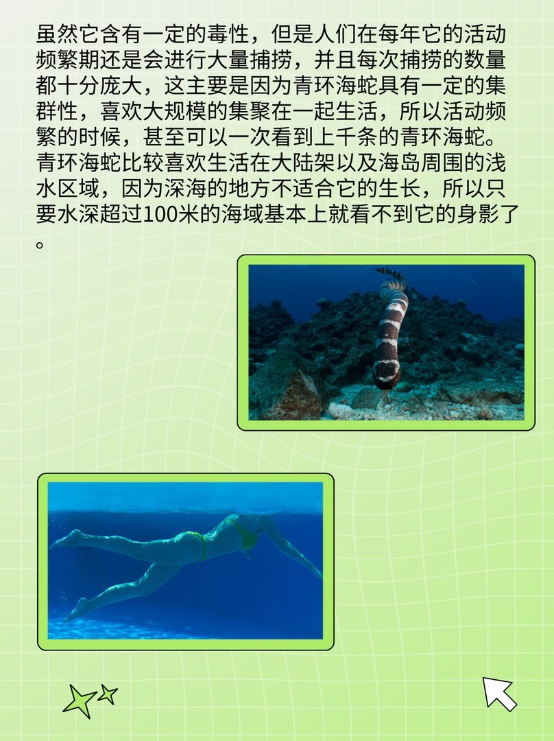 青环海蛇：每年捕获可达1万多公斤？