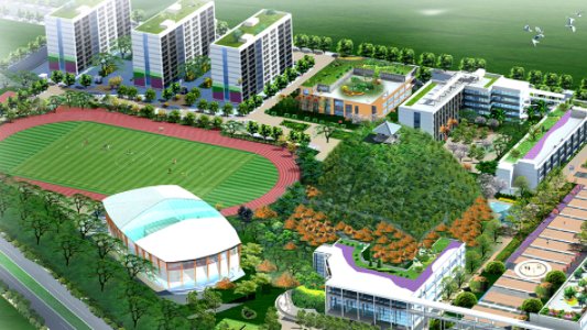 2019年黄骅新世纪录取分数线是多少？