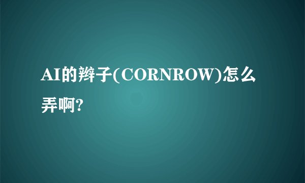 AI的辫子(CORNROW)怎么弄啊?