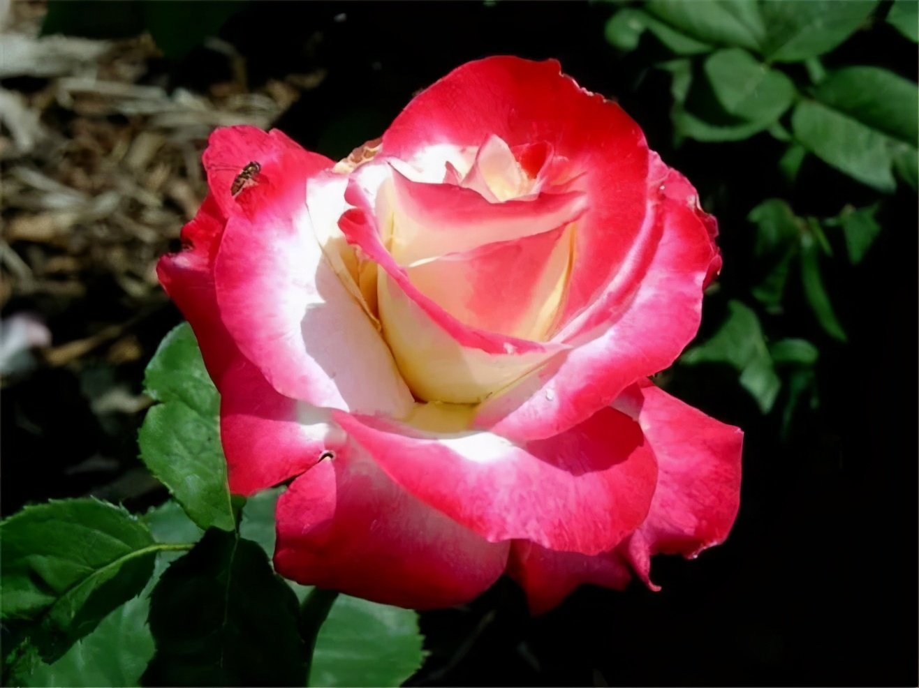 我该怎么办？我该怎么做？