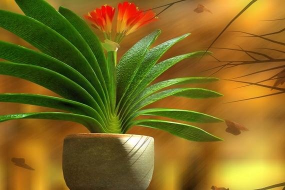 千锤百炼什么生肖?