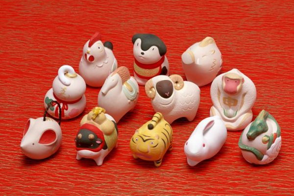 鹤立鸡群令人钦的生肖