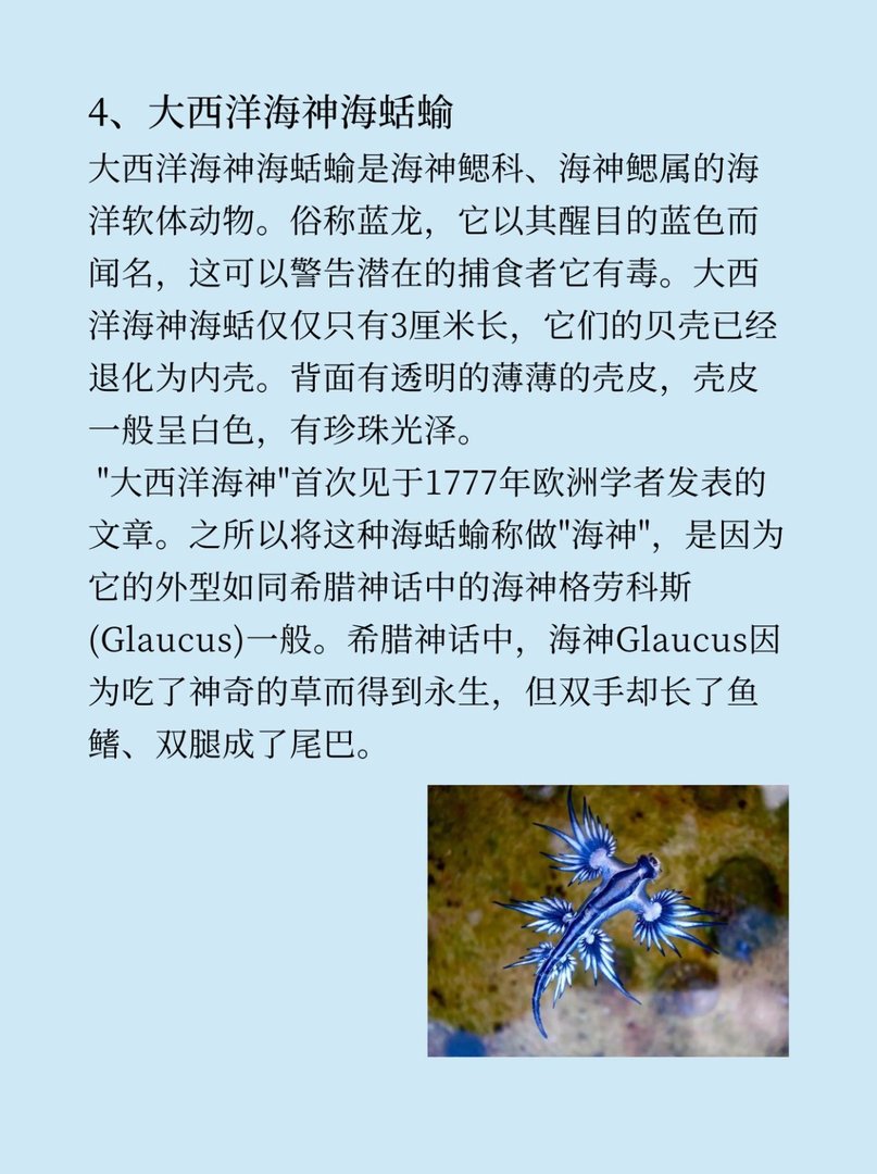 有什么稀奇古怪的东西