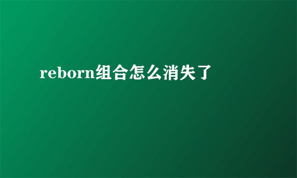 reborn组合怎么消失了
