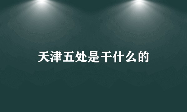 天津五处是干什么的