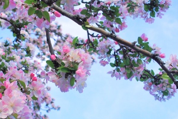 回暖是什么意思