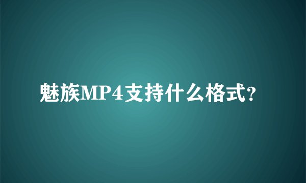 魅族MP4支持什么格式？