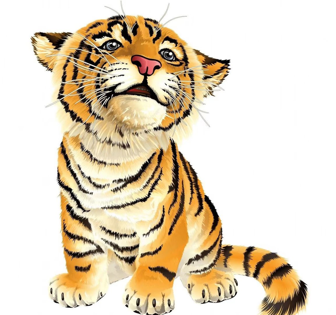 身残心不残打一生肖