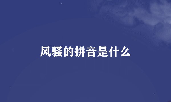 风骚的拼音是什么