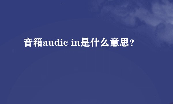 音箱audic in是什么意思？