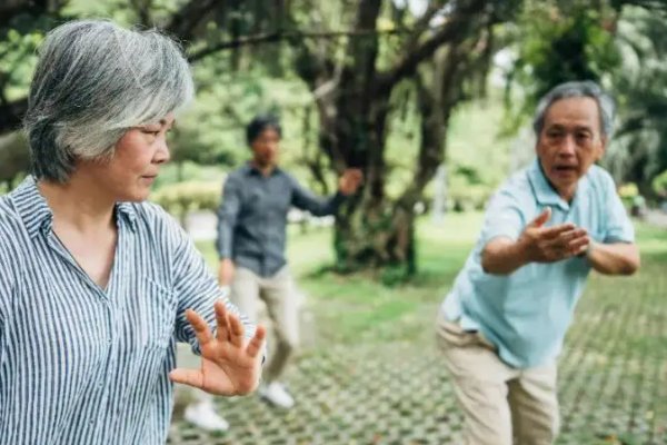 老年网站都有哪些网站？