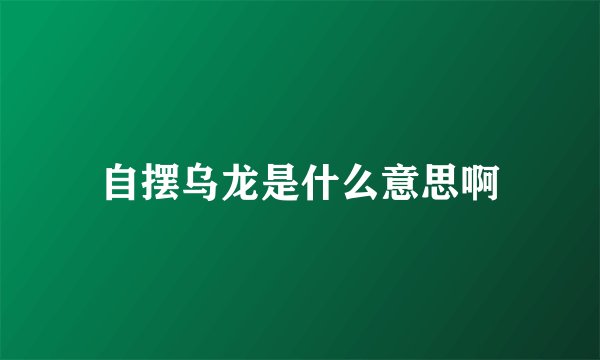 自摆乌龙是什么意思啊