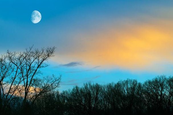 残月下章台打一字