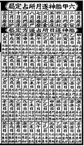 每日胎神是什么？