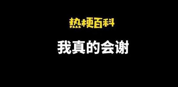 真的会谢是什么梗