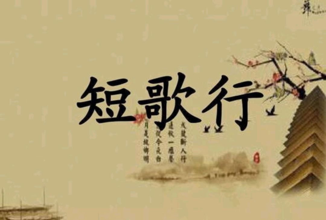 曹操 短歌行原文及译文