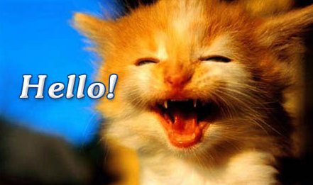 你好，英文怎么说？