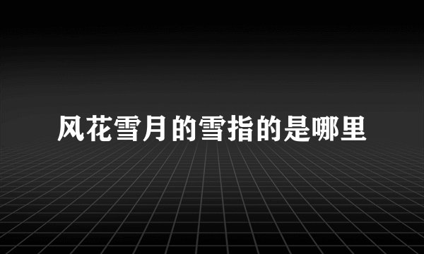 风花雪月的雪指的是哪里