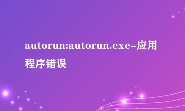 autorun:autorun.exe-应用程序错误