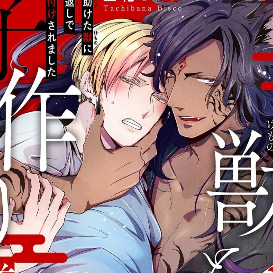 有没有好看的兽人bl文