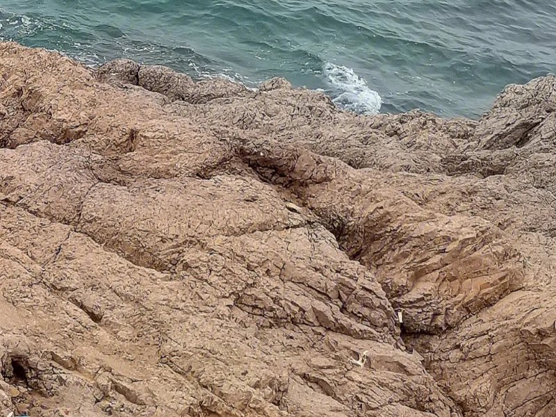 艾青诗选最经典的10首诗