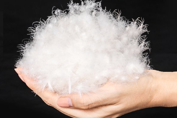 白鸭绒好还是灰鸭绒好羽绒服