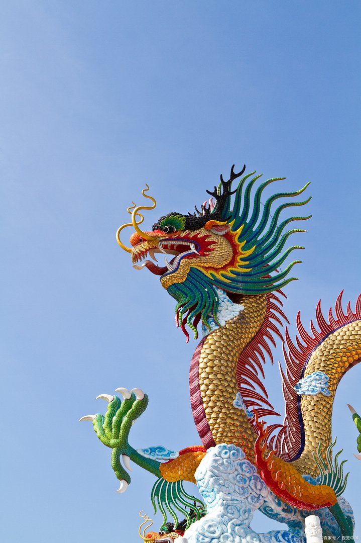 铁树开花打一准确生肖