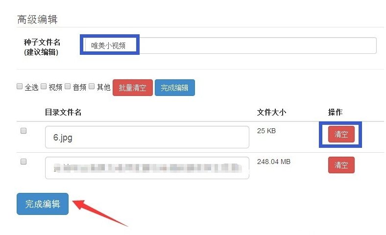 迅雷为什么不能下载bt种子?
