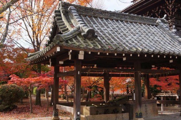 耳听为虚，眼见为实，这句话是出自谁的？