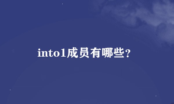 into1成员有哪些？