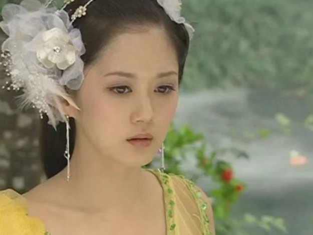 刁蛮公主电视剧演员